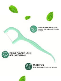 500/300/100/10pcs Mint Flavor Dental Floss Safe High-Grade Toothpick Stick Toothpicks Ultrathin Peppermint Flavor Teeth Floss
