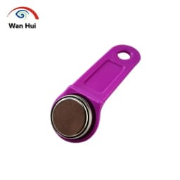 10Pcs RW1990 Rewritable iButton Card, TM tag, TM iButton, Touch Memory Key, Sauna Keys, Copy DALASS DS1990A TM1990A Dropshipping