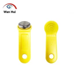 10Pcs RW1990 Rewritable iButton Card, TM tag, TM iButton, Touch Memory Key, Sauna Keys, Copy DALASS DS1990A TM1990A Dropshipping