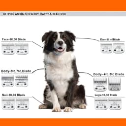 Detachable Pet Dog Animal Clipper Ceramic Blade set Compatible with Most Andis,Oster A5,Wahl KM10 Series Clippers,#10/#30/#40