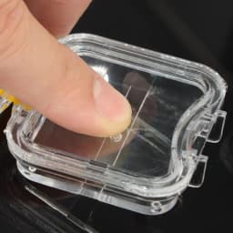 Plastic Transparent Dental Box Denture Storage Box with Film Membrane Colorful Hinge for Crown and Bridges