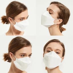 20PCS Adult Fish KN95 FFP2 Mask CE Approved Masks Dust Respirator Protective Face Masks Melt-blown Filtering Fast Delivery