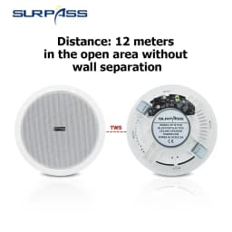 5.25 Inch Audience 10W Bluetooth Ceiling Speakers Built In Digital Class D Amplifier Bluetooth Speaker for Indoor Outdoor Camper