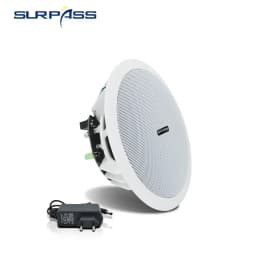 5.25 Inch Audience 10W Bluetooth Ceiling Speakers Built In Digital Class D Amplifier Bluetooth Speaker for Indoor Outdoor Camper