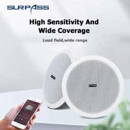 5.25 Inch Audience 10W Bluetooth Ceiling Speakers Built In Digital Class D Amplifier Bluetooth Speaker for Indoor Outdoor Camper