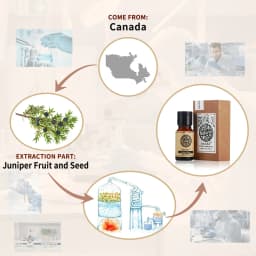 AKARZ Juniper Berry Essential Oil Natural Treatment of Acne Skin Inflammation Juniper Berry Oil