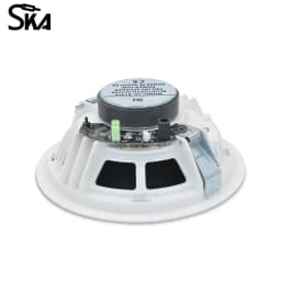 10W 6inch Bluetooth Ceiling Speakers Home Audio System BT In Ceiling Speaker Built In Digital Class D Amplifier for Home Theater