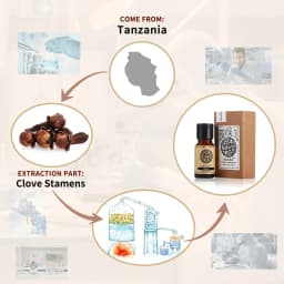 AKARZ Clove Essential Oil Natural for Skin Body Hair Care Diffuser Candle Soap Making DIY Massage Aroma