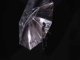 4 Pcs 83cm Photo Studio Umbrella Photography Photo Video Light White Reflector Umbrella Without Stand Gold Sliver Black 3 Color