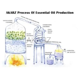 AKARZ Citronella Essential Oil Natural Aromatherapy Remove Acne Insect Soothing Mood Relax Citronella Oil