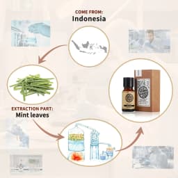 AKARZ Citronella Essential Oil Natural Aromatherapy Remove Acne Insect Soothing Mood Relax Citronella Oil