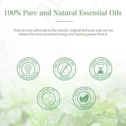 PHATOIL l00ML Spearmint Pure Essential Oil for Diffuser Humidifier Australian Tea Tree Lemon Eucalyptus Lemongrass Rose Aroma