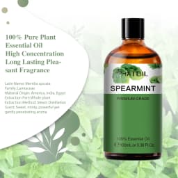PHATOIL l00ML Spearmint Pure Essential Oil for Diffuser Humidifier Australian Tea Tree Lemon Eucalyptus Lemongrass Rose Aroma
