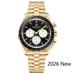 PAGANI DESIGN 2026 New AK Project Men's Watches Luxury Quartz Wrist Watch For Men AR Sapphire Speed Chronograph Automatic Date
