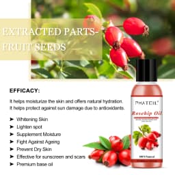 PHATOIL 100ML Copaiba Pure Essential Oils Helichrysum Neroli Australian Tea Tree Lemon Eucalyptus Turmeric Oregano Spearmint Oil