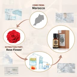 AKARZ Rose Essential Oil Natural for Skin Body Hair Care Diffuser Candle Soap Making DIY Massage Aroma