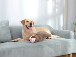 Dog Christmas Gift Forest Sloth Puppy Heartbeat Toy for Stress Relief and Soothing, Sleep Aid Crate Training Puppy Toys