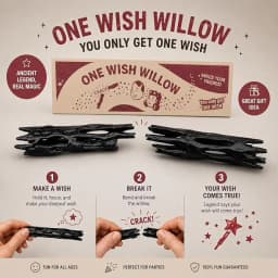 One Wish Willow Wish-3D Printed Wish, Fun Party Novelty Gift Ancient Legend Replica for All Ages, 1PC Christmas Party