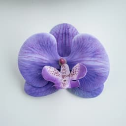 Thai Butterfly Orchid Artificial Flowers Hot selling items christmas Wedding Bridal Accessories Headwear and hair clips Diy gift