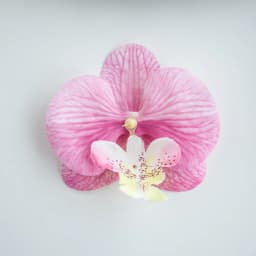 Thai Butterfly Orchid Artificial Flowers Hot selling items christmas Wedding Bridal Accessories Headwear and hair clips Diy gift
