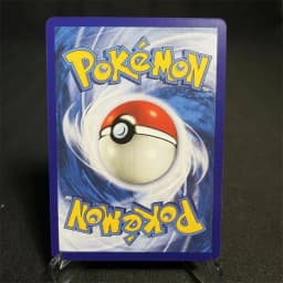 Pokemon Cards Foil Flash Card Sword & Shield Promos/Silver Tempest Series Regidrago Charizard Christmas Present Proxy Card