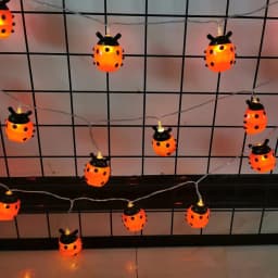 6M 40LED Rome Decoration Ladybug String Lights Indoor Party Atmosphere Christmas Battery Flower Fairy Lights Curtains 176