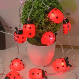 6M 40LED Rome Decoration Ladybug String Lights Indoor Party Atmosphere Christmas Battery Flower Fairy Lights Curtains 176