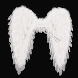 Angel Feather Wings Creative Feather Adult Children Christmas Festival Atmosphere Rendering Stage Performance Decoration Props