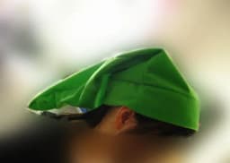 Game Anime Legends Of Zeldas Cosplay Hat Link Cosplay Green Plush Hat Christmas Gift Party