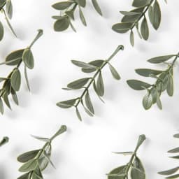50Pcs Artificial Plant Leaves Christmas Party Home Wedding Background Wall Decoration Accessories Diy Cake Candy Box Scrapbook