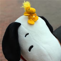 1piece 25CM Peanuts Snoopy with Woodstock bird Plush soft toys Snoopy dog toys best Christmas present Valentine's Day gift