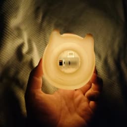 Cute Capybara Night Light Cute Cartoon Silicone Creative Bedside Sleep Night Lamp Room Decor Birthday Christmas Gift