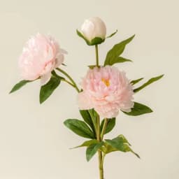 Beautiful Artificial 3 Heads Peony Flowers Long Branch For Home Wedding Table Christmas Decoration 75cm Fake Flower Room Decor