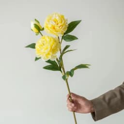 Beautiful Artificial 3 Heads Peony Flowers Long Branch For Home Wedding Table Christmas Decoration 75cm Fake Flower Room Decor