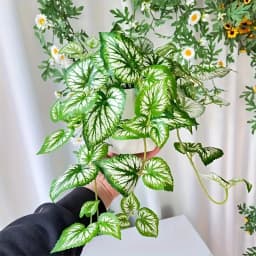 Simulated Vine Plant Perilla Leaves, Living Room Decoration, Christmas, Wedding Decoration, Home Decoration, Outdoor Decoration