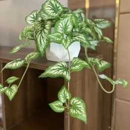 Simulated Vine Plant Perilla Leaves, Living Room Decoration, Christmas, Wedding Decoration, Home Decoration, Outdoor Decoration
