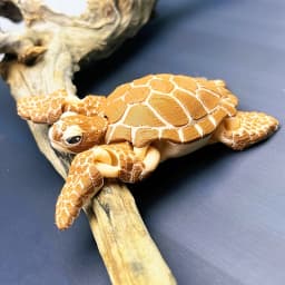 1/2 Piece - 3D Printed Articulated Turtle Figurine, Indoor and Outdoor Desktop Decoration, Wedding, Birthday, Christmas, New Year Gift, Party Favor Filler, Aquarium Landscaping