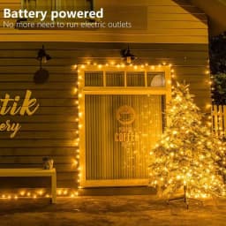 20M Fairy String Lights with Remote Control & Waterproof Battery Box,used for Indoor Outdoor Christmas Wedding Party Home Decor