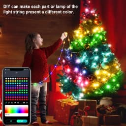 1M-50M Christmas Lights WS2812 Led Fairy String Light for Home Party Decoration USB Smart Bluetooth Curtain Lights Garland