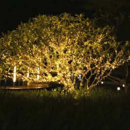 100M String Lights Led Fairy Lights Christmas Garland For Home New Year Party Garden Street Christmas Decoration