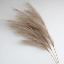 Large Artificial Pampas Grass 97cm Fake Pampas Floral 3/6 Branches Boho Farmhouse Room Wedding Decor Christmas Autumn Decoration