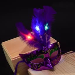 Feather LED Glowing Masks Venice Carnival Halloween Christmas Light Up Masks Masquerade Birthday Wedding Party Cosplay Costume