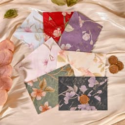 20pcs Vintage Embossed Envelopes Set Premium Bulk Invitation Envelopes for Wedding Birthday Graduation Christmas Party