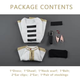 HOLOUN Frieren Beyond Journey's End Anime Frieren Cosplay Costume Shawl Cloak Dress Wig Grey Ponytail Rose Net Christmas
