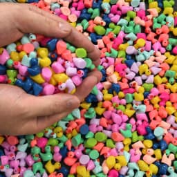 120/60Pc Mini Resin Tiny Duck Birthday Party Miniature Figure Landscape Aquarium DIY Decor Bonsai Interior Christmas Garden