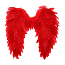 Halloween Feather Wings White Black Angel Wings Devil Wings with Elastic Straps for Adult Teens Christmas Costume Accessories