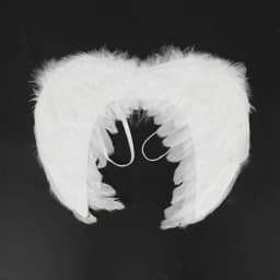 Halloween Feather Wings White Black Angel Wings Devil Wings with Elastic Straps for Adult Teens Christmas Costume Accessories