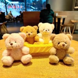 Cute 3D Plush Bear Keychain Fluffy Faux Fur Doll with PP Cotton Cartoon Key Ring for Car Bag Christmas Anniversary Gift