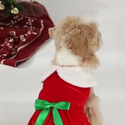 Christmas Dog Dresses For Small Dogs Clothes Summer Christmas Cosplay Cat Pet Dog Dress Fancy Princess Puppy Dress