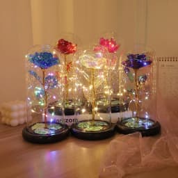 Artificial Glass Flower with Eternal Rose of the LED Light for Women Beauty and Beast Rose Birthday Gifts for Girls Christmas